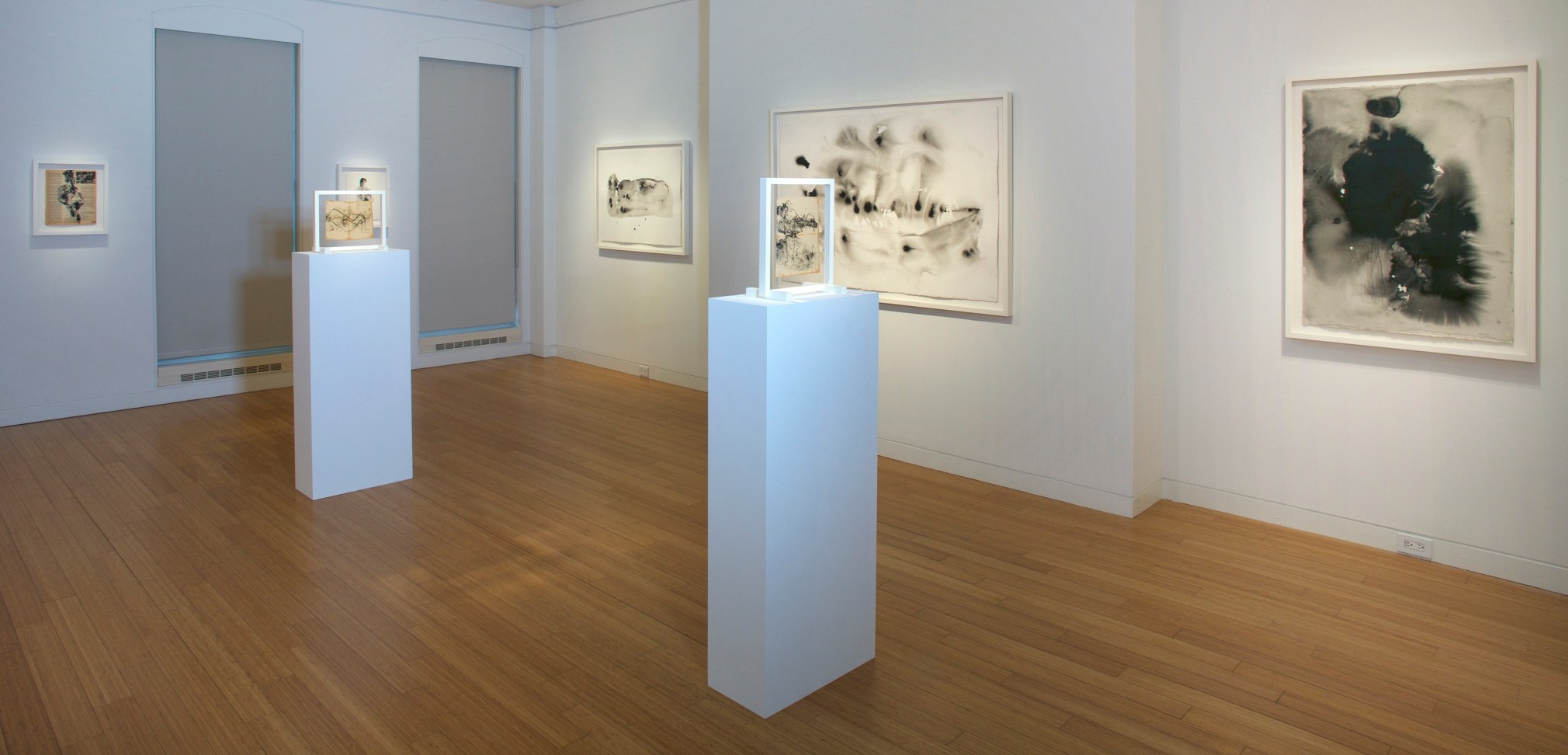 Whitney McVeigh: Elegy to Nature