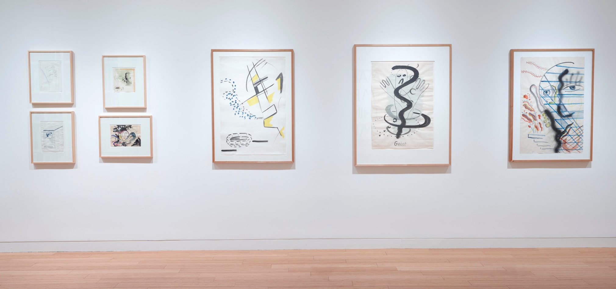 Polke | Nauman: Drawings from the Froehlich Collection