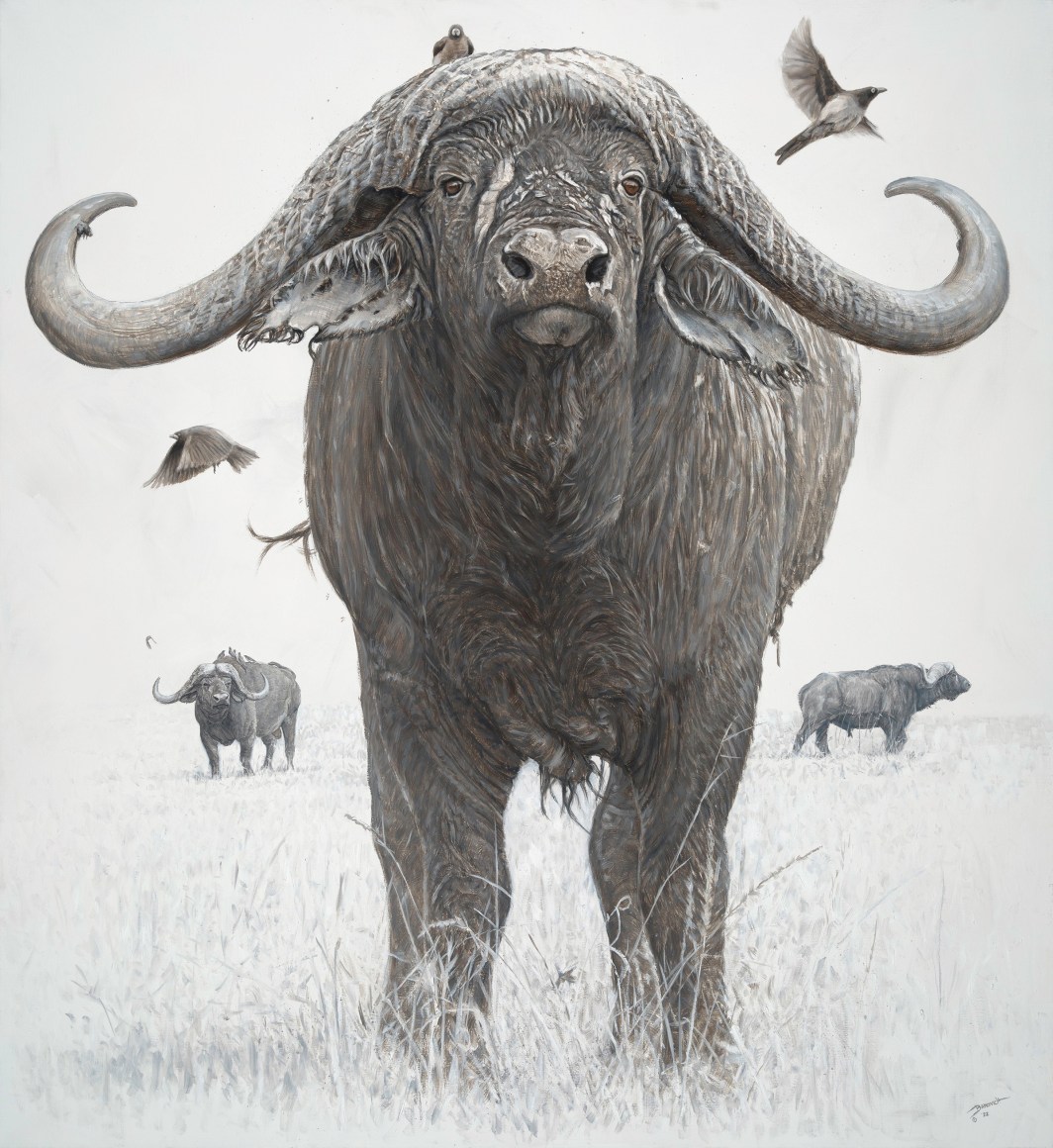 2022 - Artwork - Wildlife Art of John Banovich