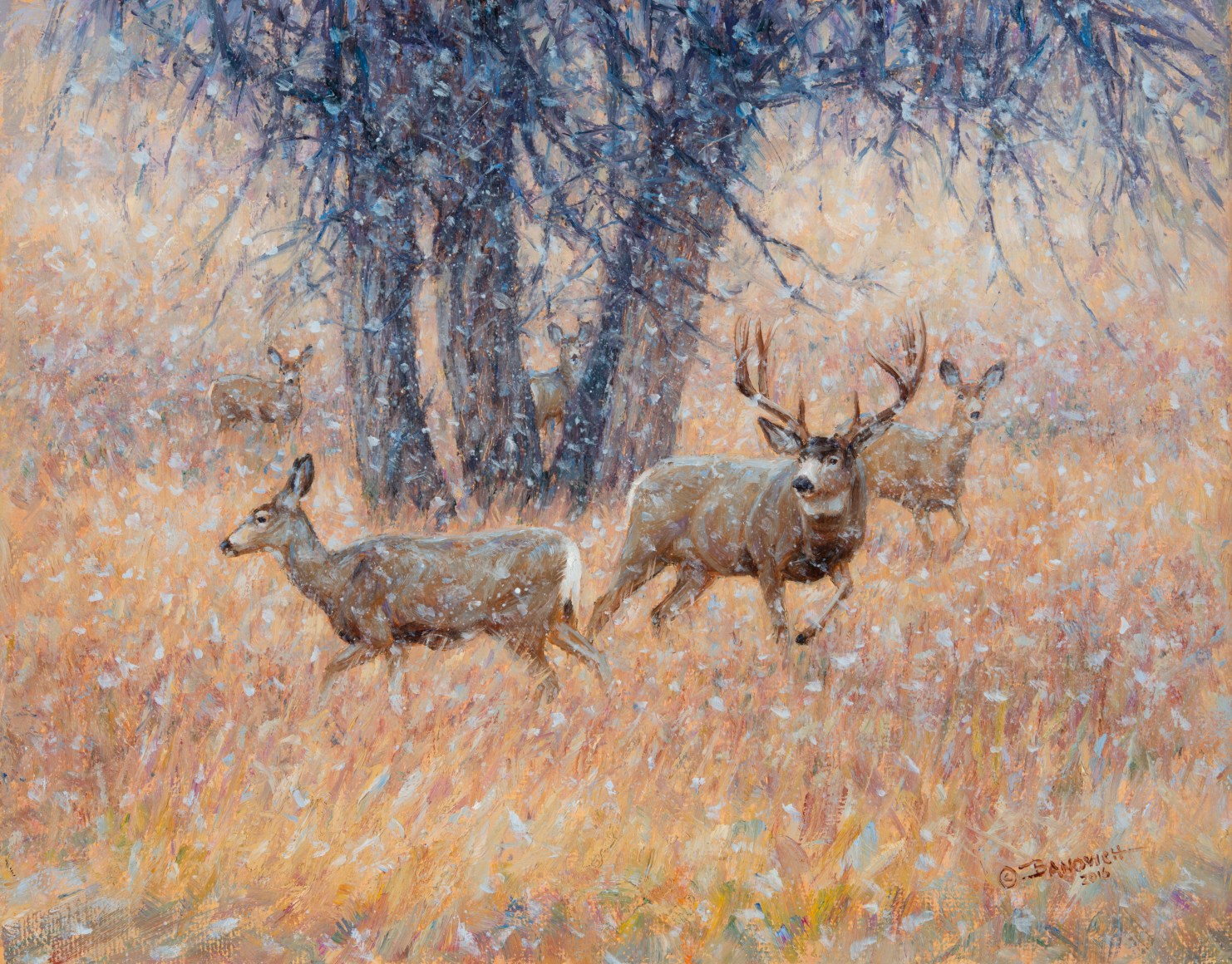 Simply One Thing On His Mind, 2016