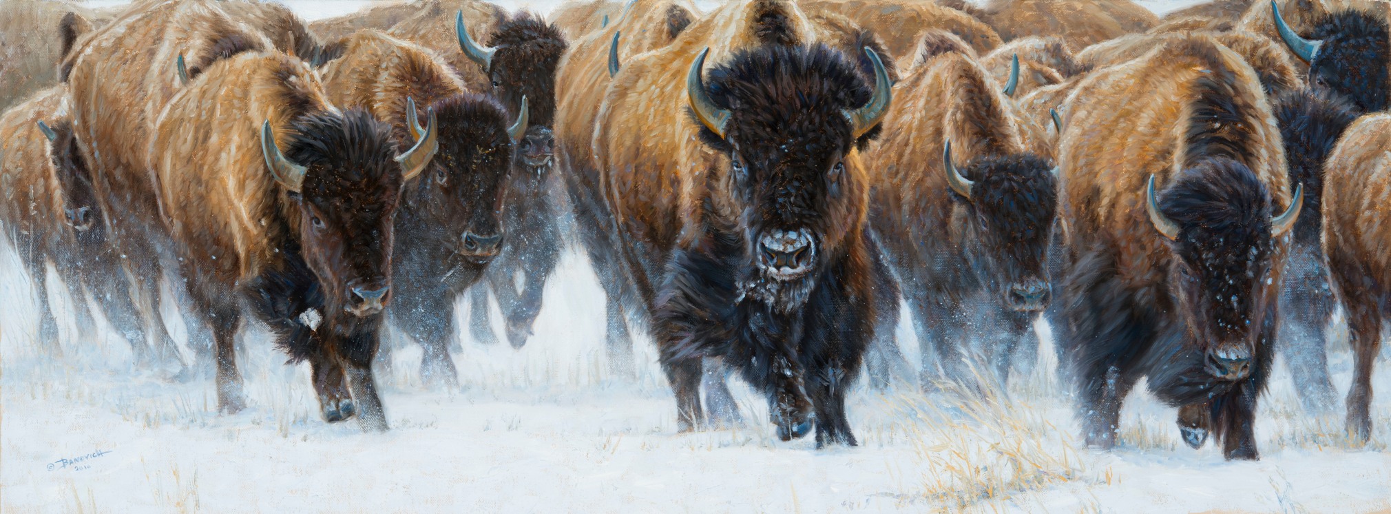 Master of the Herd
