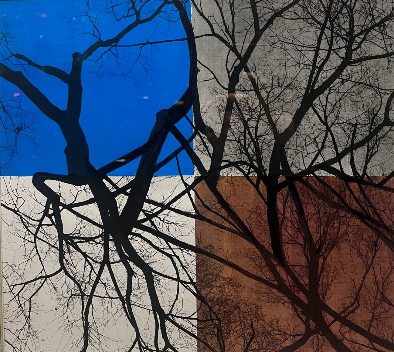 Wm. Dilworth, WovenLimbs FourColor, 2024, Ink on photographs, 14&quot; x 15&quot; at Anita Rogers Gallery