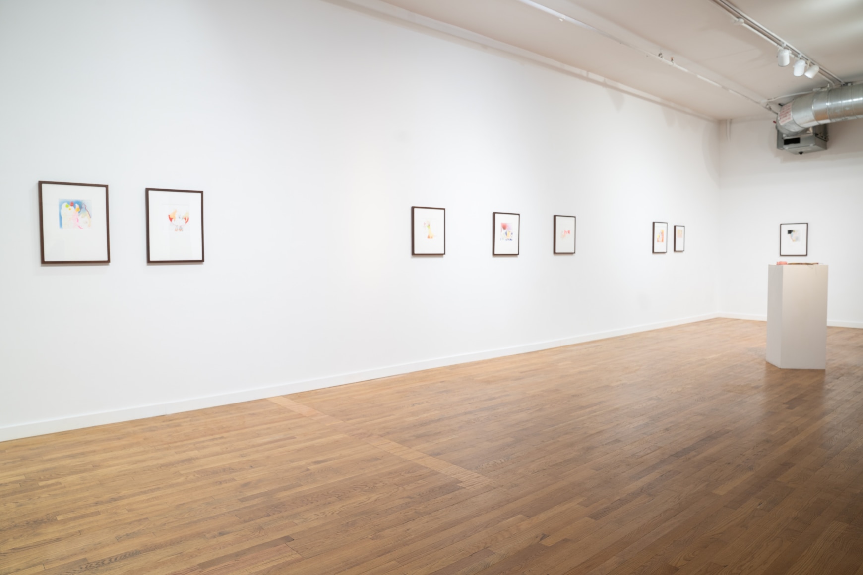 Installation view of Shirin Mirjamali: Hidden longing&nbsp;(494 Greenwich Street)&nbsp;  Photo by Jon-Paul Rodriguez