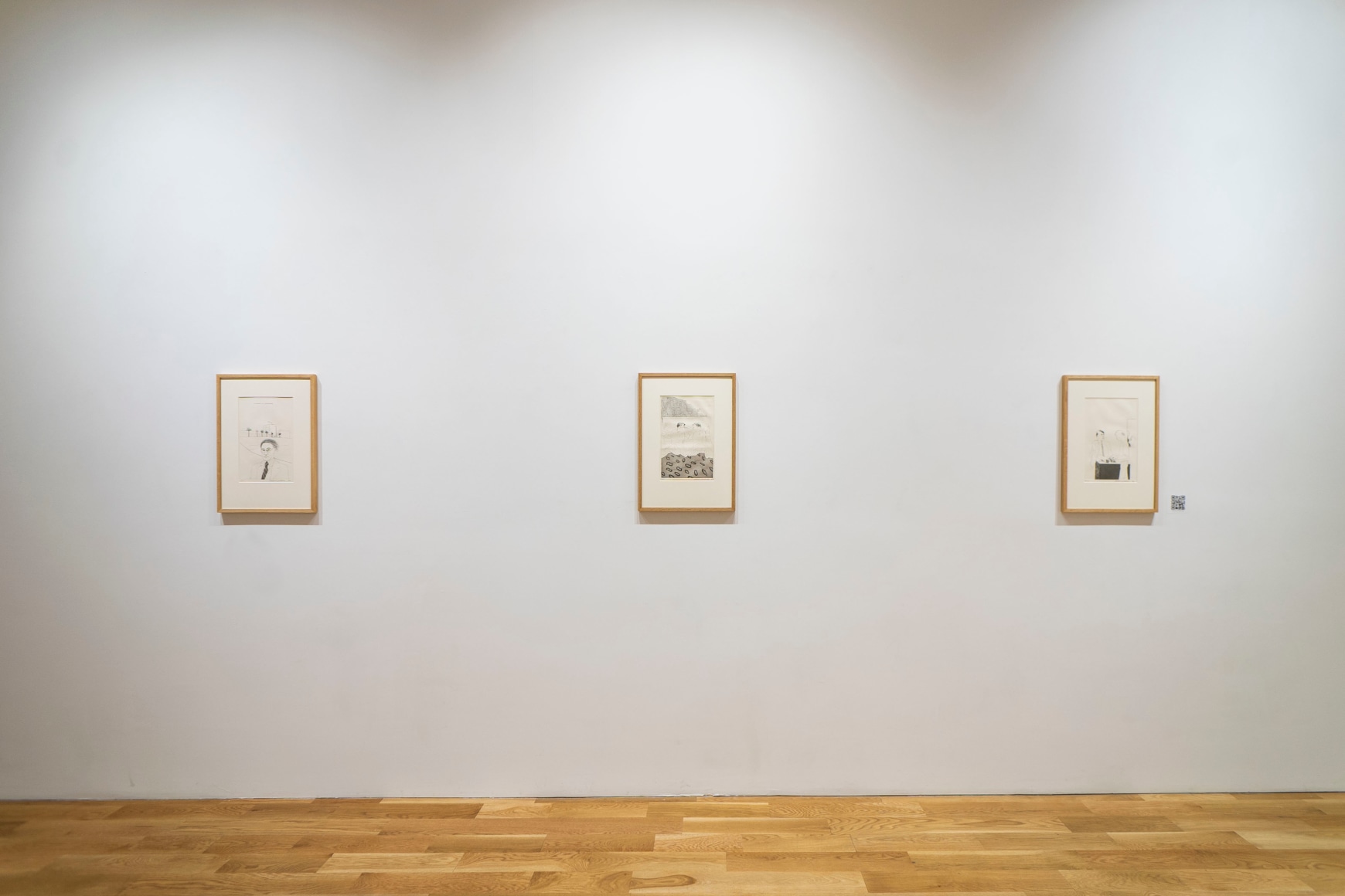 James Scott - David Hockney at Anita Rogers Gallery