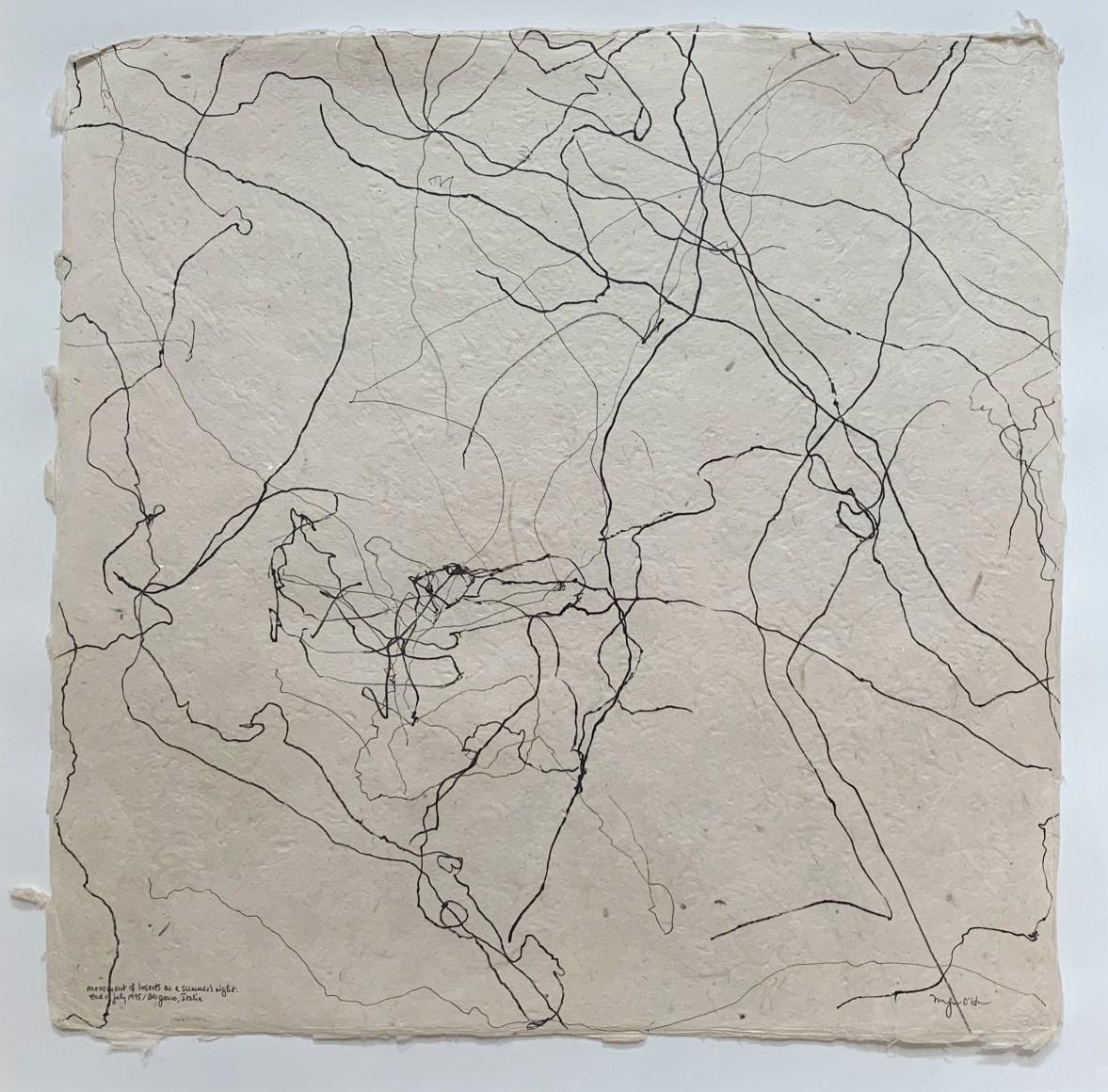 Morgan O'Hara, Movement of insects on a summers night, end of July, Bergamo, Italia, 1995, 23 5/8" x 23 5/8"