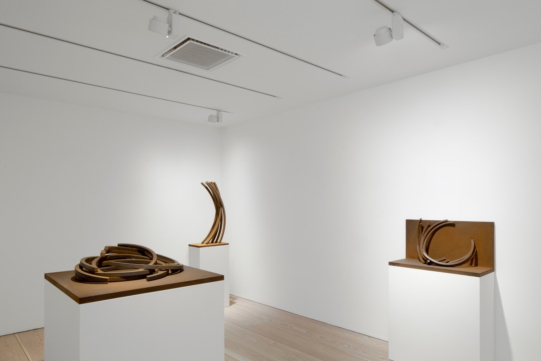 Bernar Venet