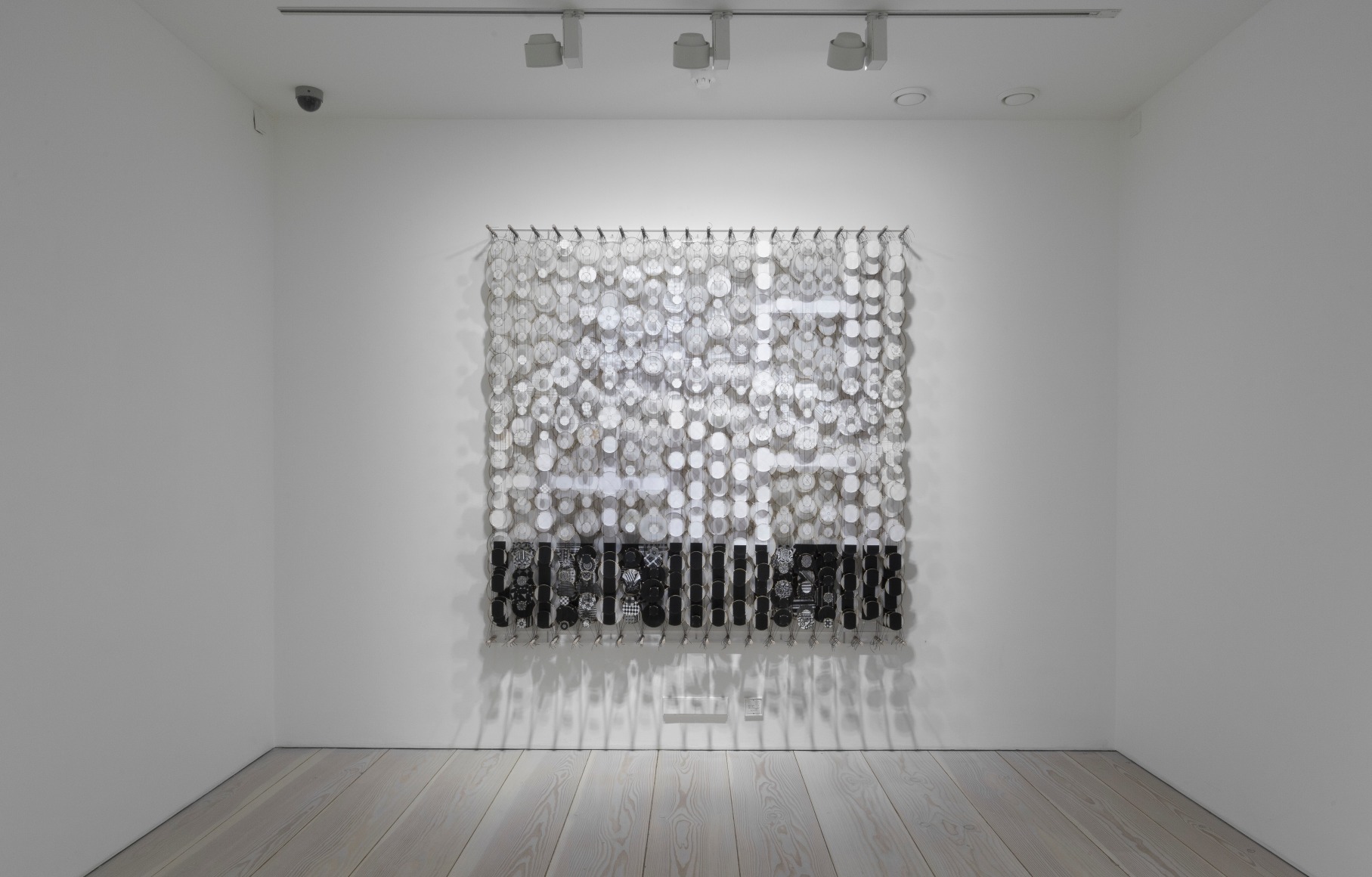 Jacob Hashimoto