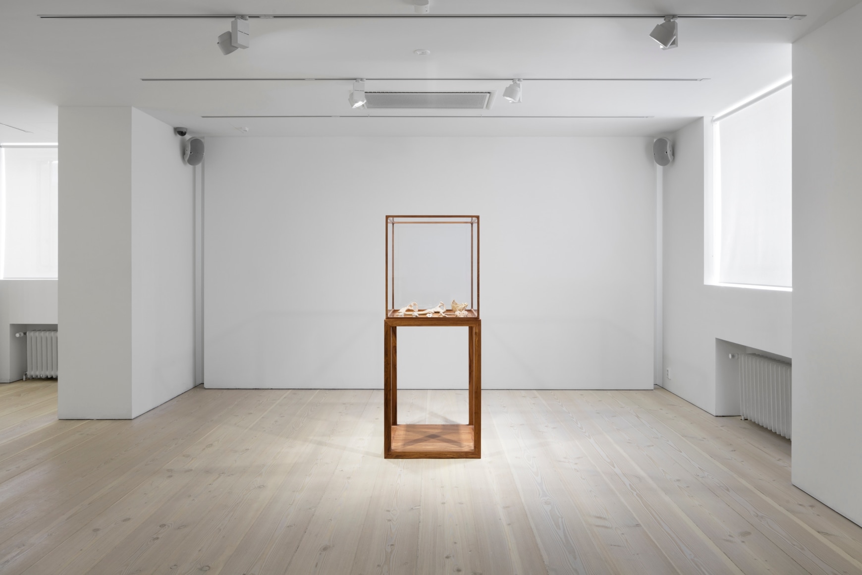 Ai Weiwei