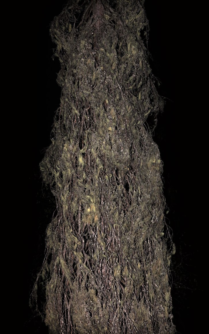 Esko Männikkö Exhibitions