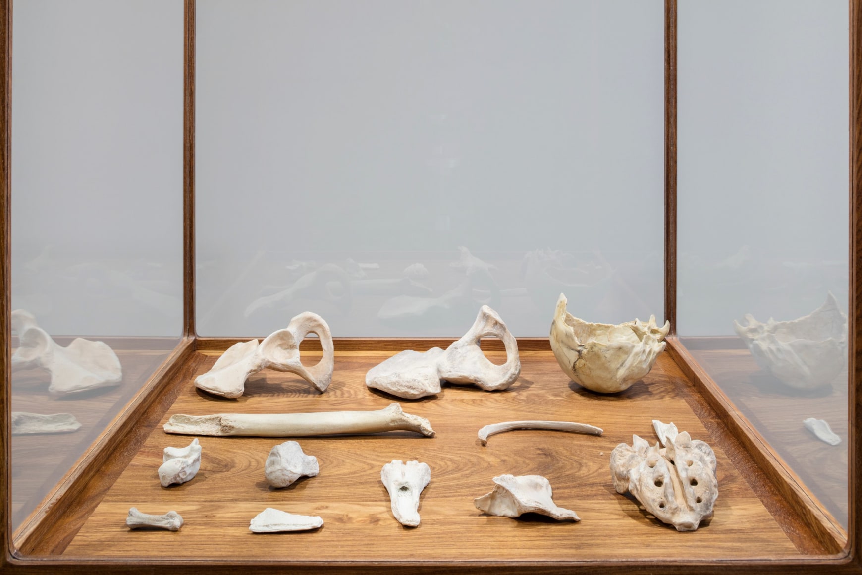 Ai Weiwei