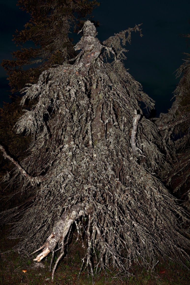 Esko Männikkö Exhibitions