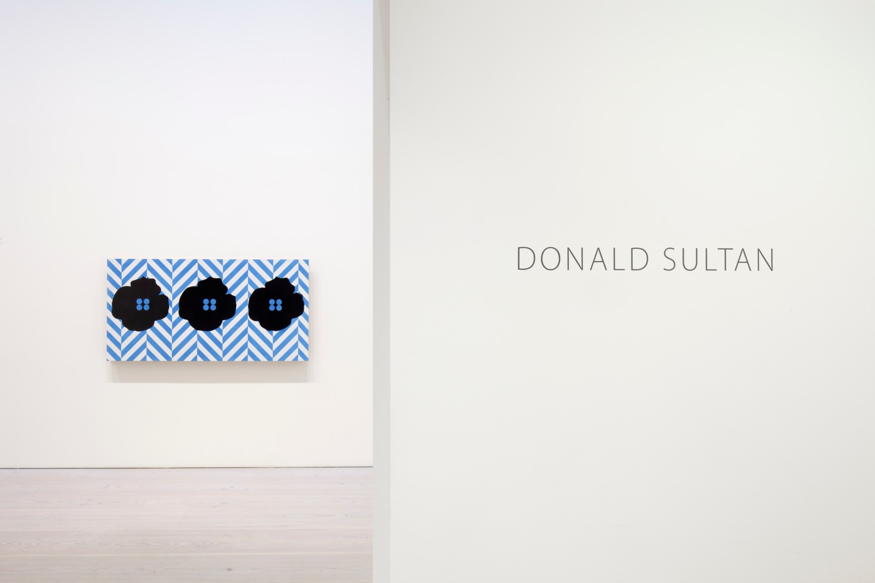 Donald Sultan