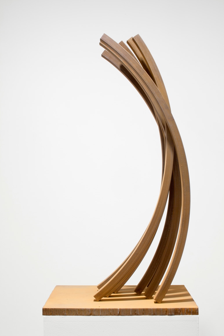 Bernar Venet