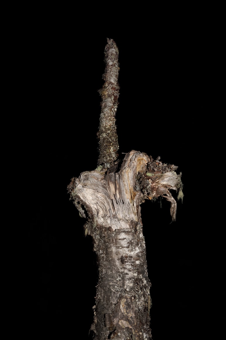 Esko M&auml;nnikk&ouml;