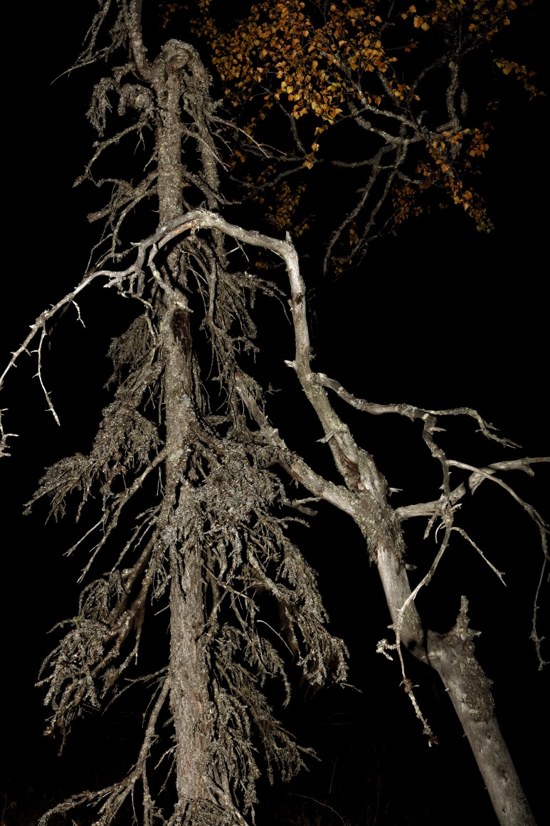 Esko M&auml;nnikk&ouml;