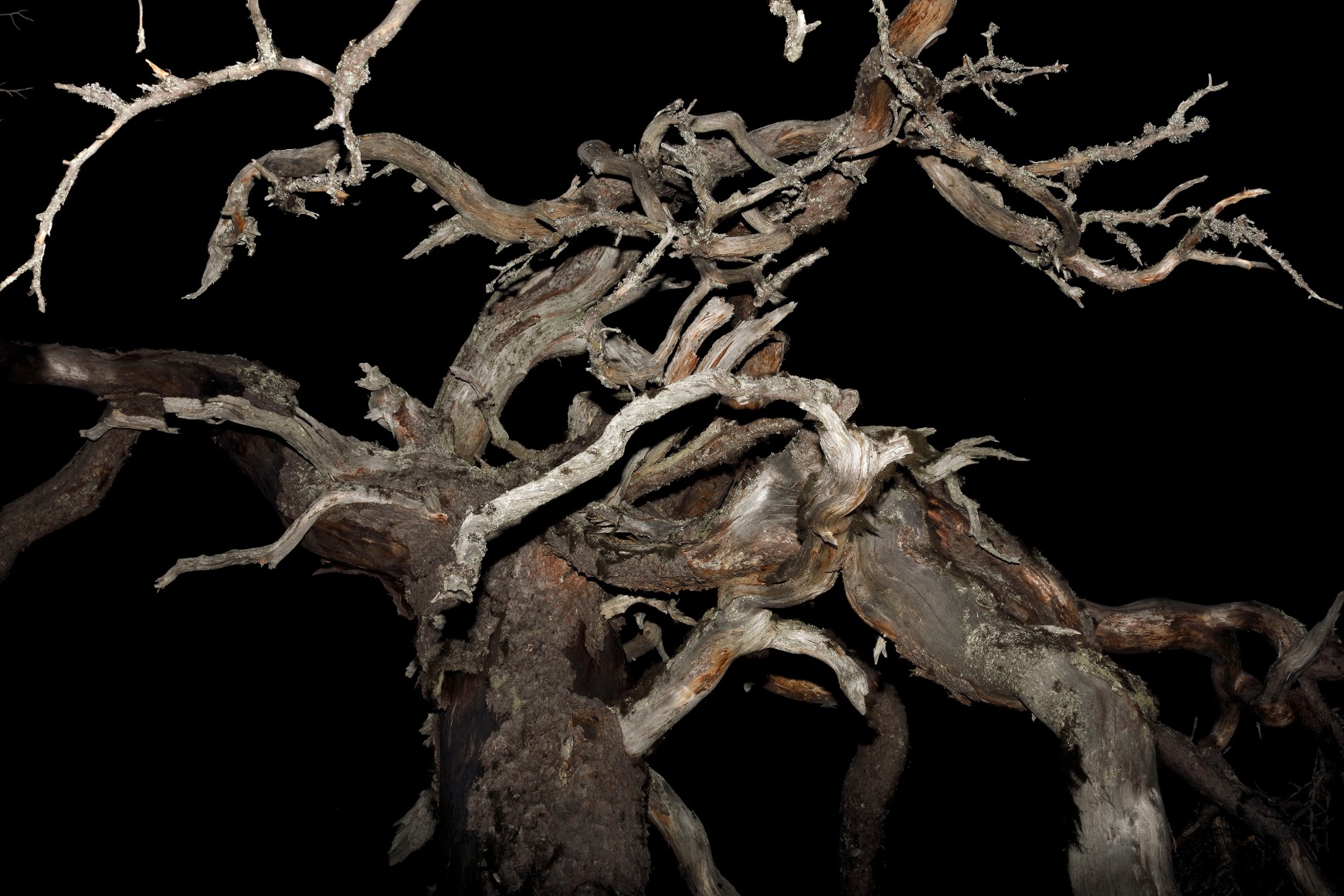 Esko M&auml;nnikk&ouml;