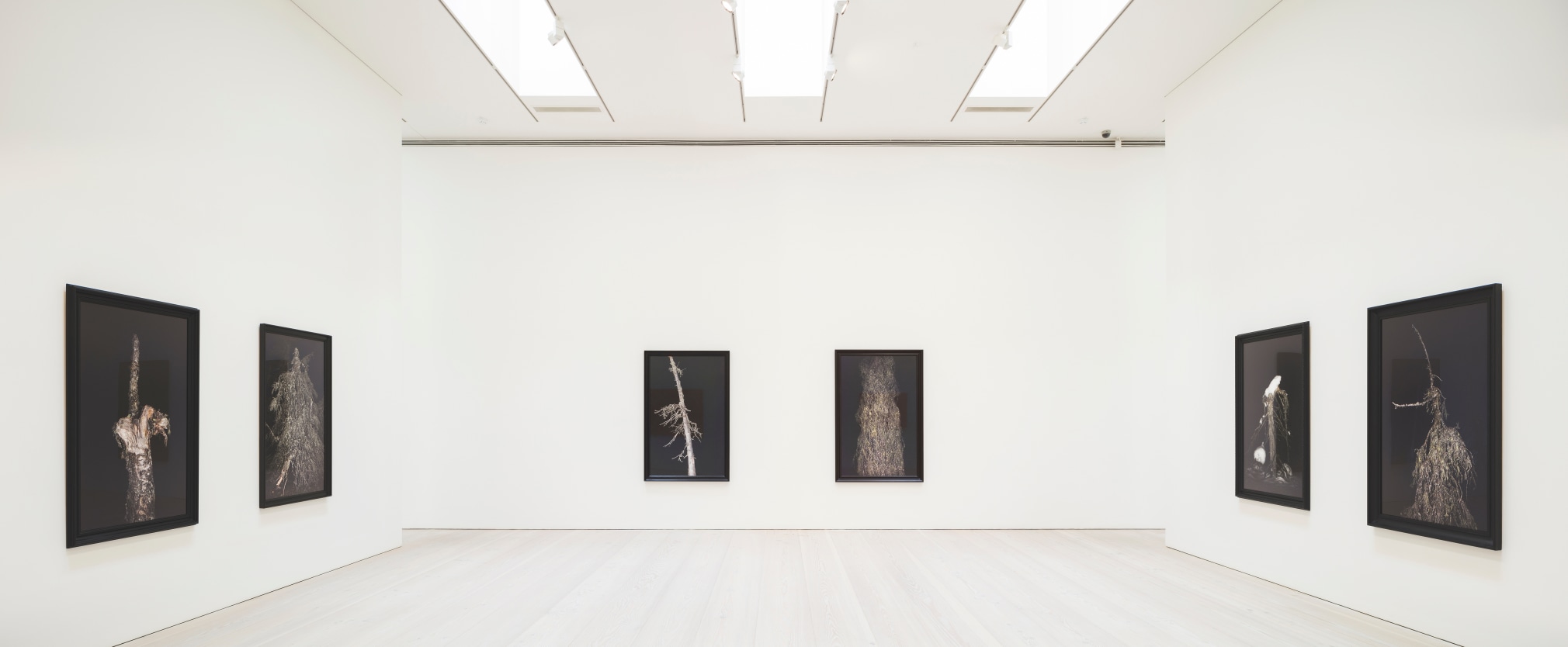 Esko M&auml;nnikk&ouml;