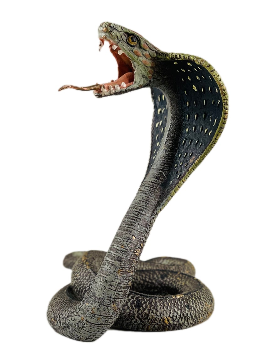 King Cobra Snake, Hobby Lobby