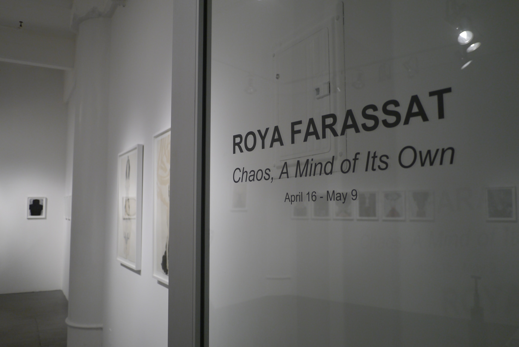 Roya Farassat