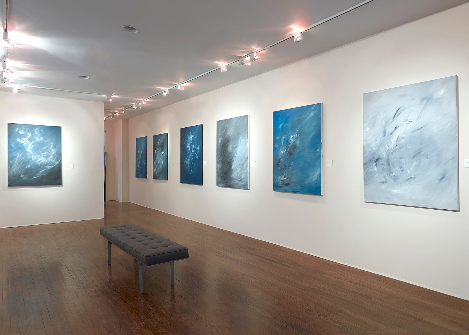 Lisa Bradley: The Fullness of Being - Installation view