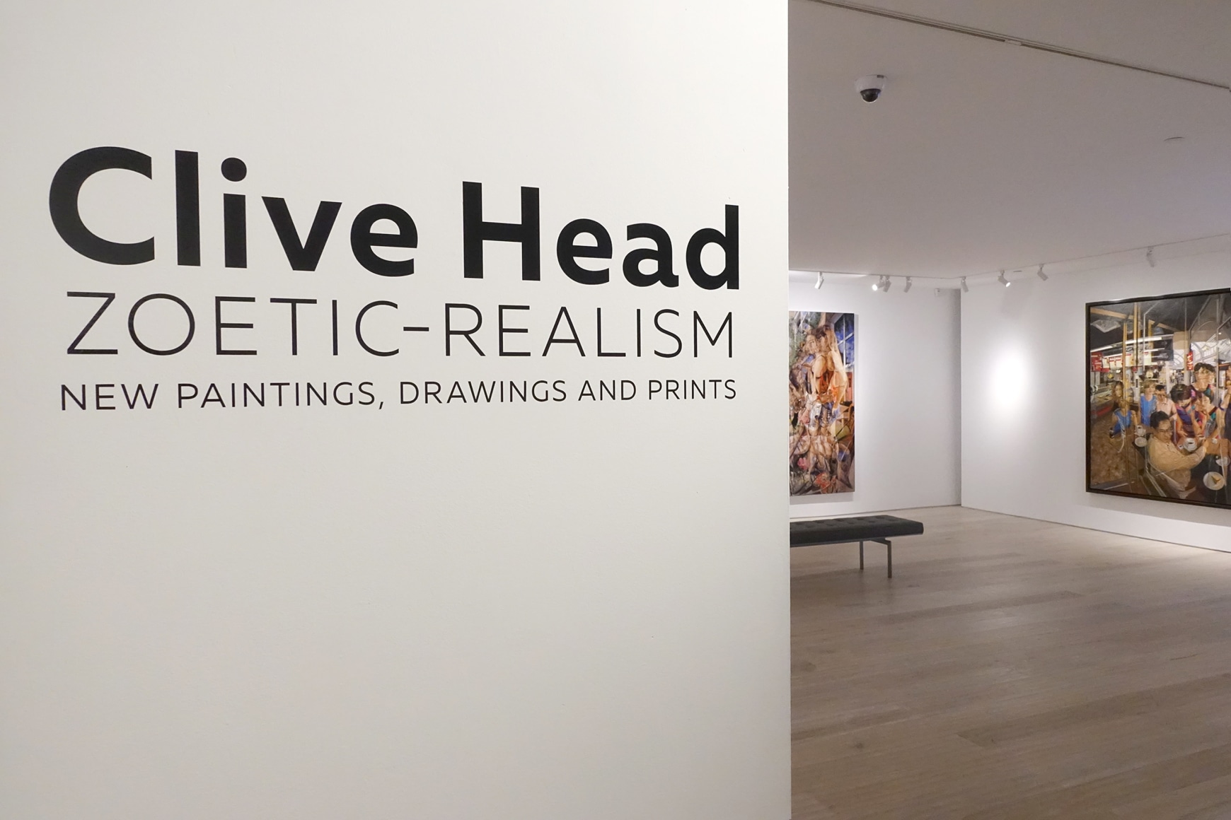 Installation view: Clive Head: Zoetic-Realism