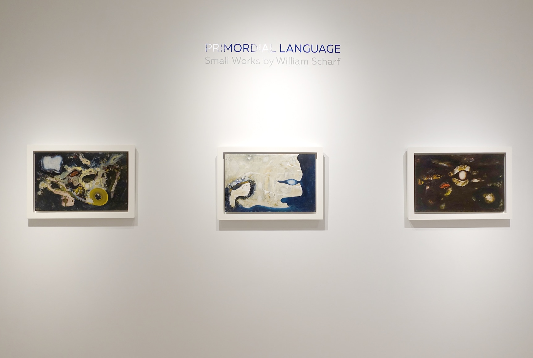 Installation view - Primordial Language: Small Works by William Scharf