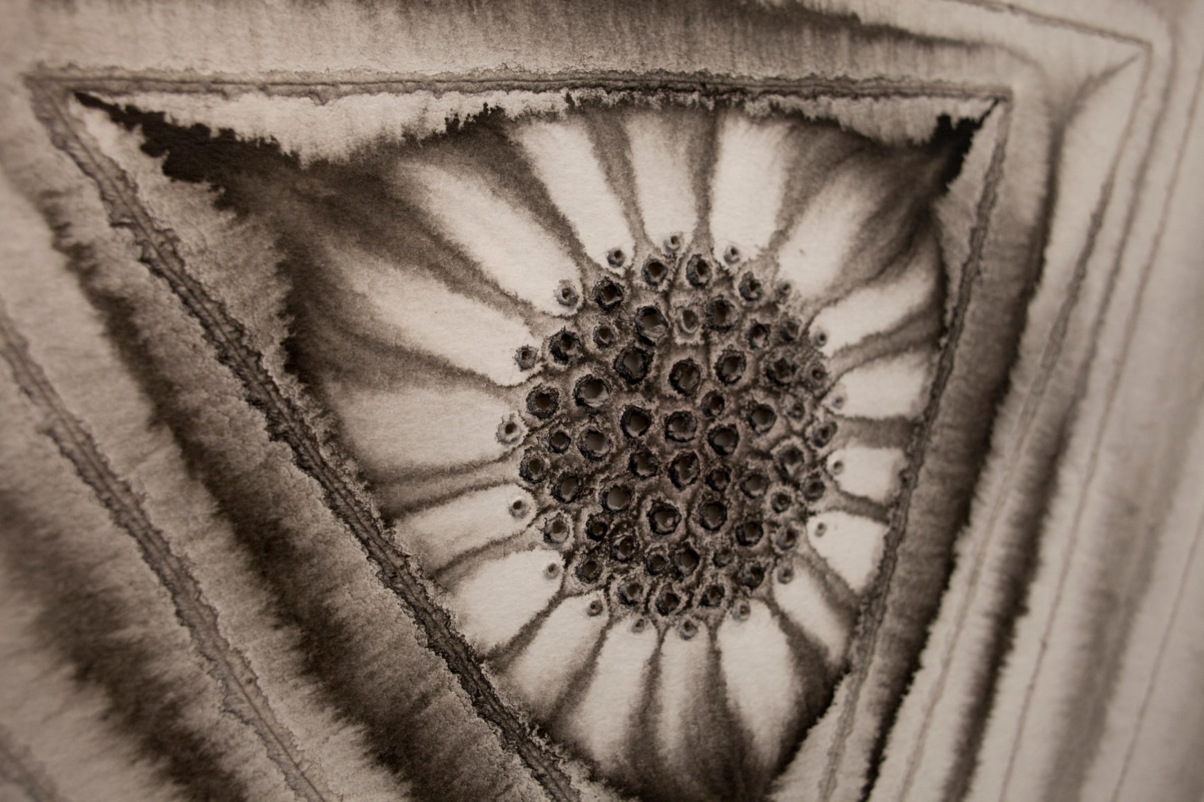 Sohan Qadri: Transcendence