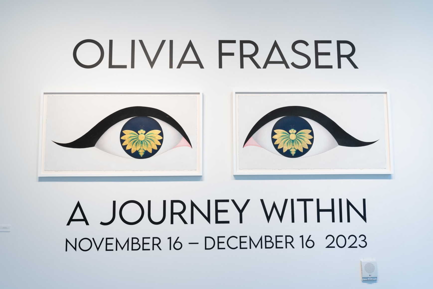 Olivia Fraser: A Journey Within