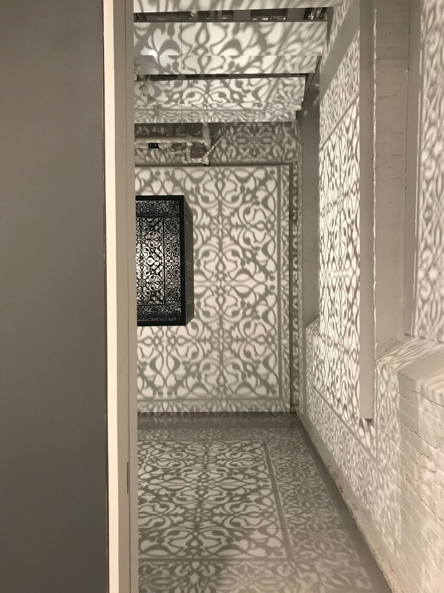 Illuminations and Phenomena