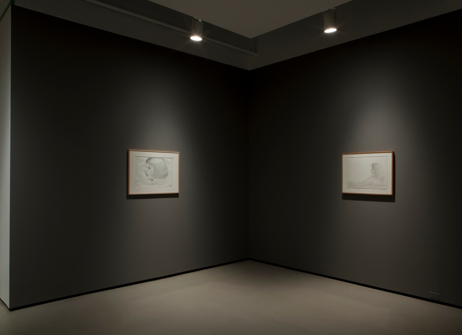 alex katz present tense richard gray drawings