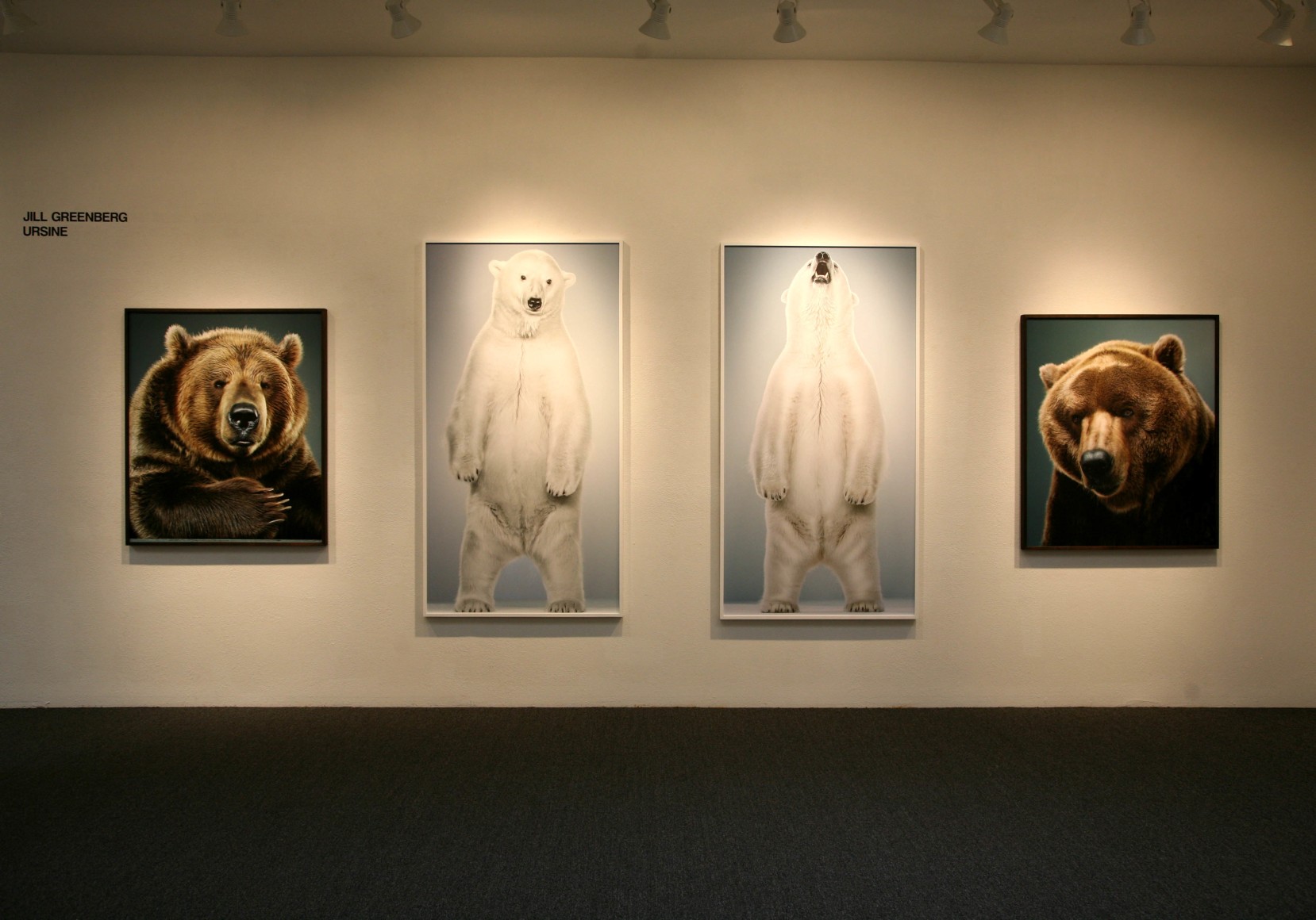 Jill Greenberg