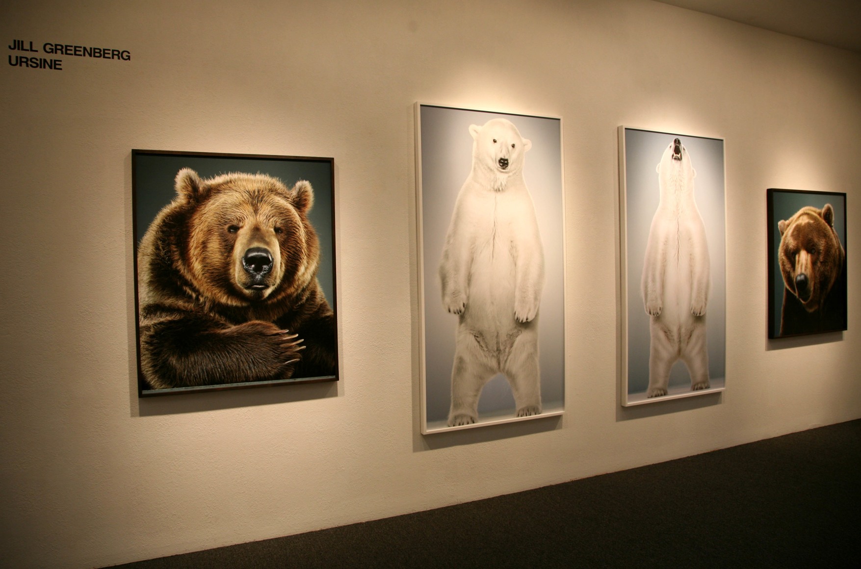 Jill Greenberg