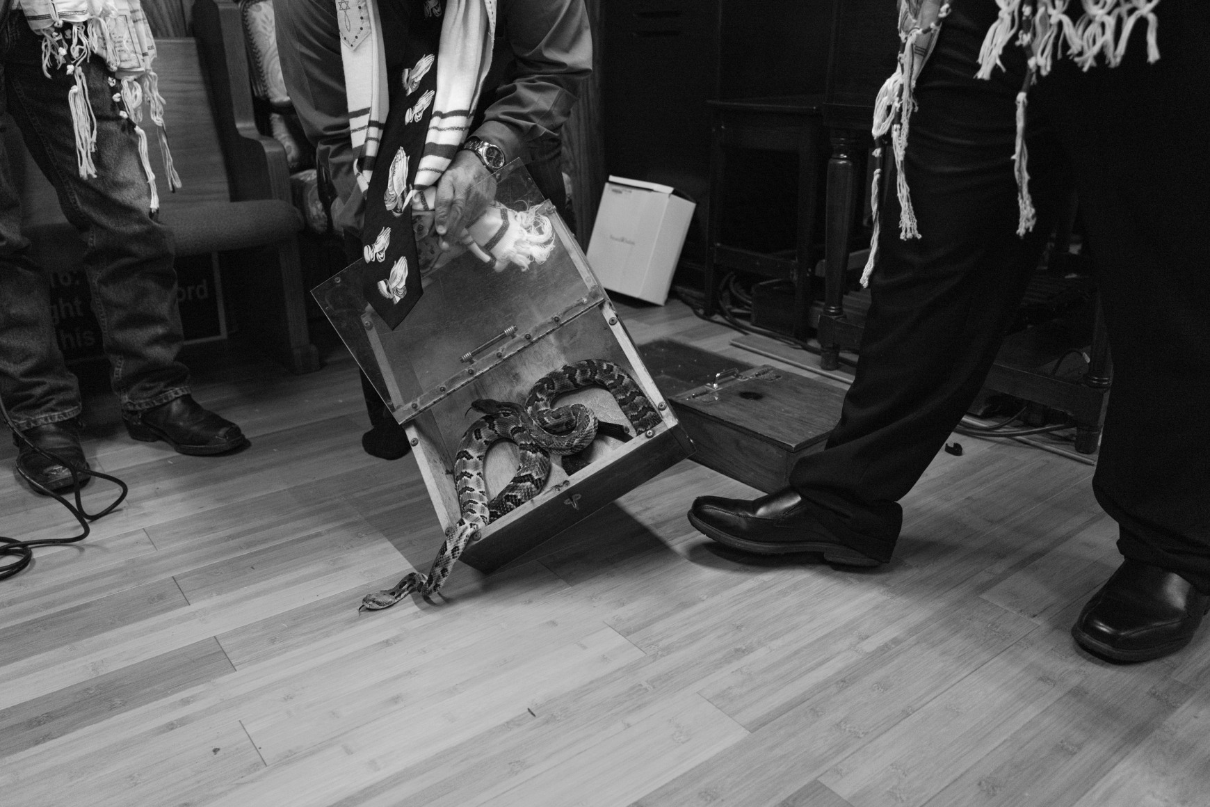 GLORYLAND, Untitled #41, 2022, Archival Pigment Print