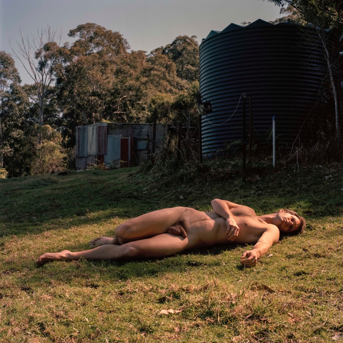 Paul McDonald  The Swan, 2016  Archival Pigment Print, Ed. 1/5  19 5/8 x 19 5/8 inches    © Paul McDonald, courtesy of Little Black Gallery, London