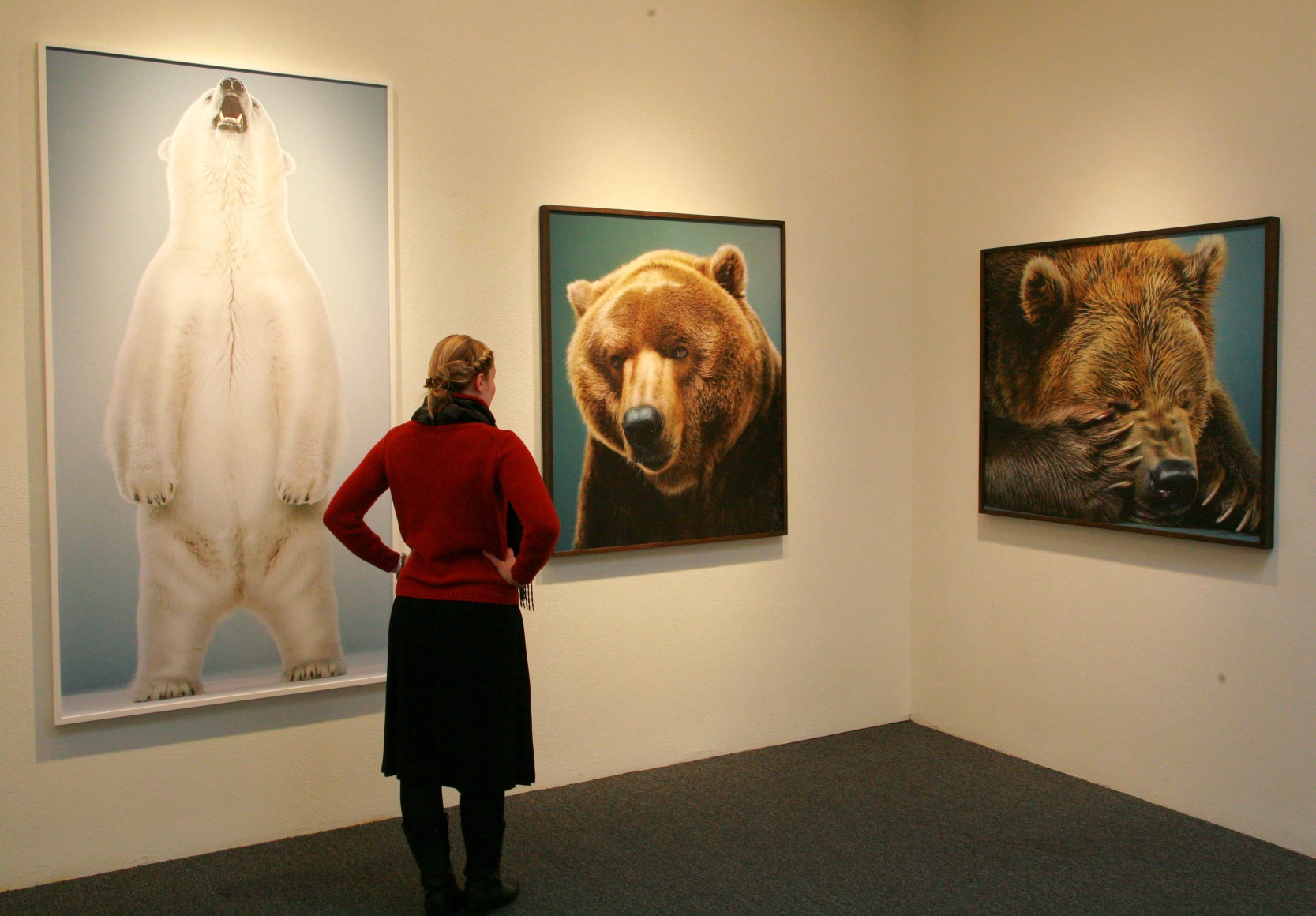 Jill Greenberg