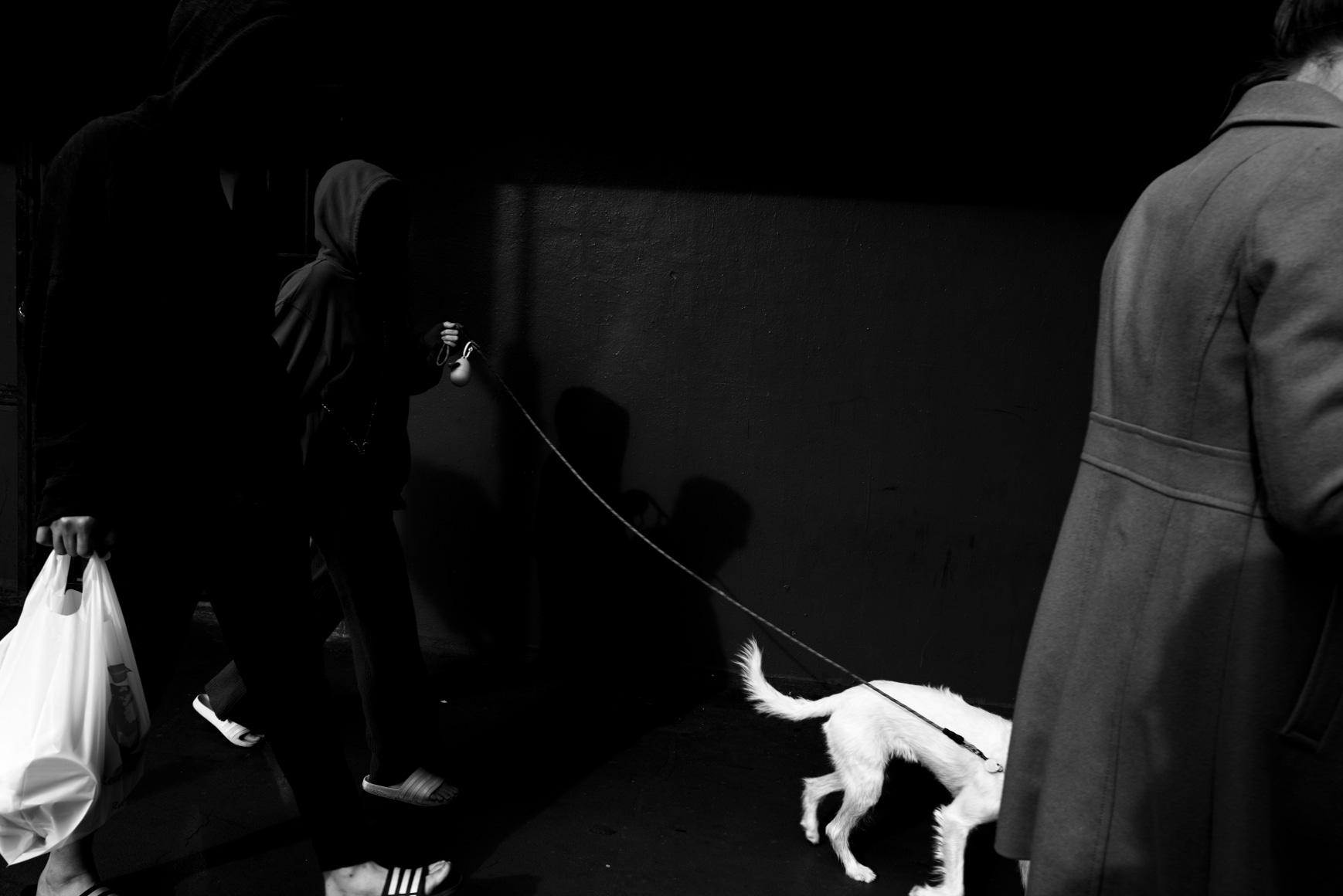 Tin Lizards, Untitled #210, 2022, Archival Pigment Print