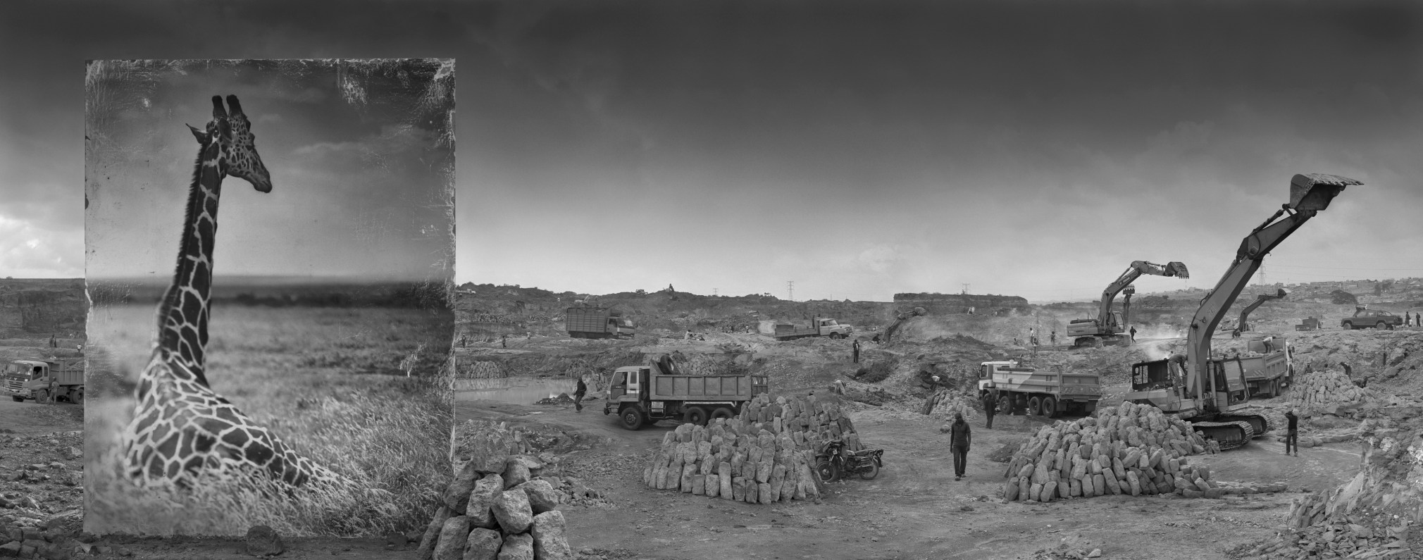 Quarry with Giraffe, 2014, Archvial Pigment Print