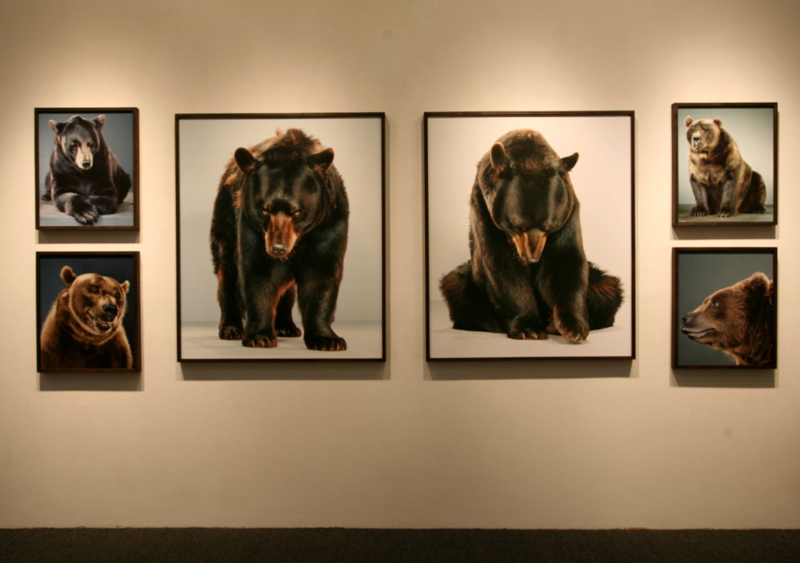 Jill Greenberg
