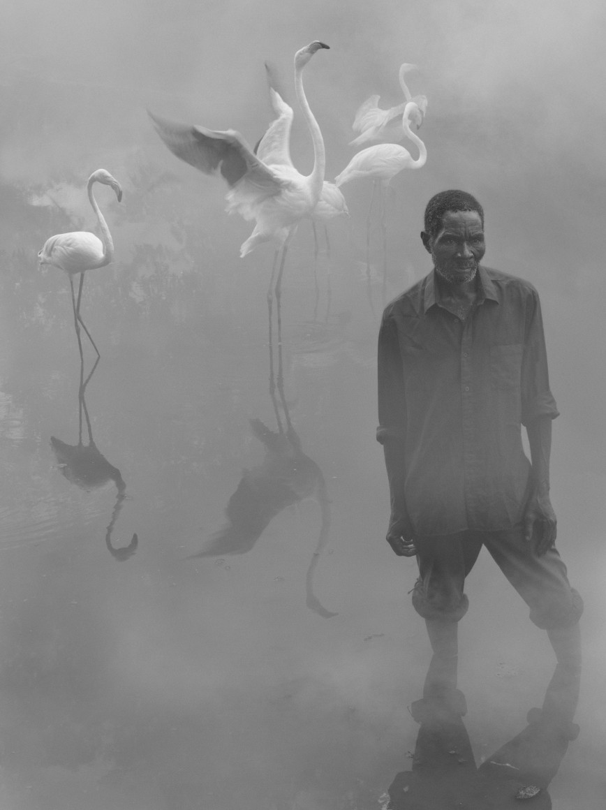 Patrick and Flamingos, Zimbabwe, 2020