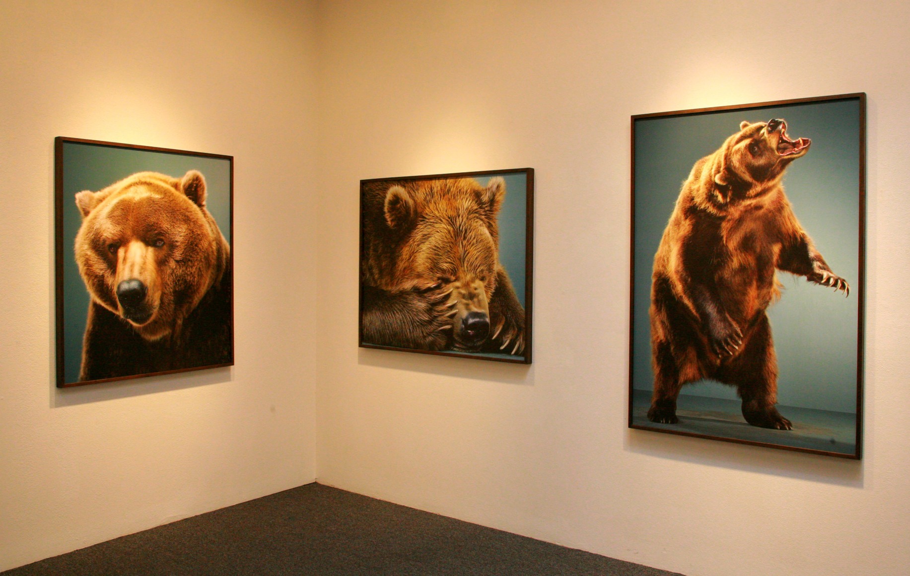 Jill Greenberg
