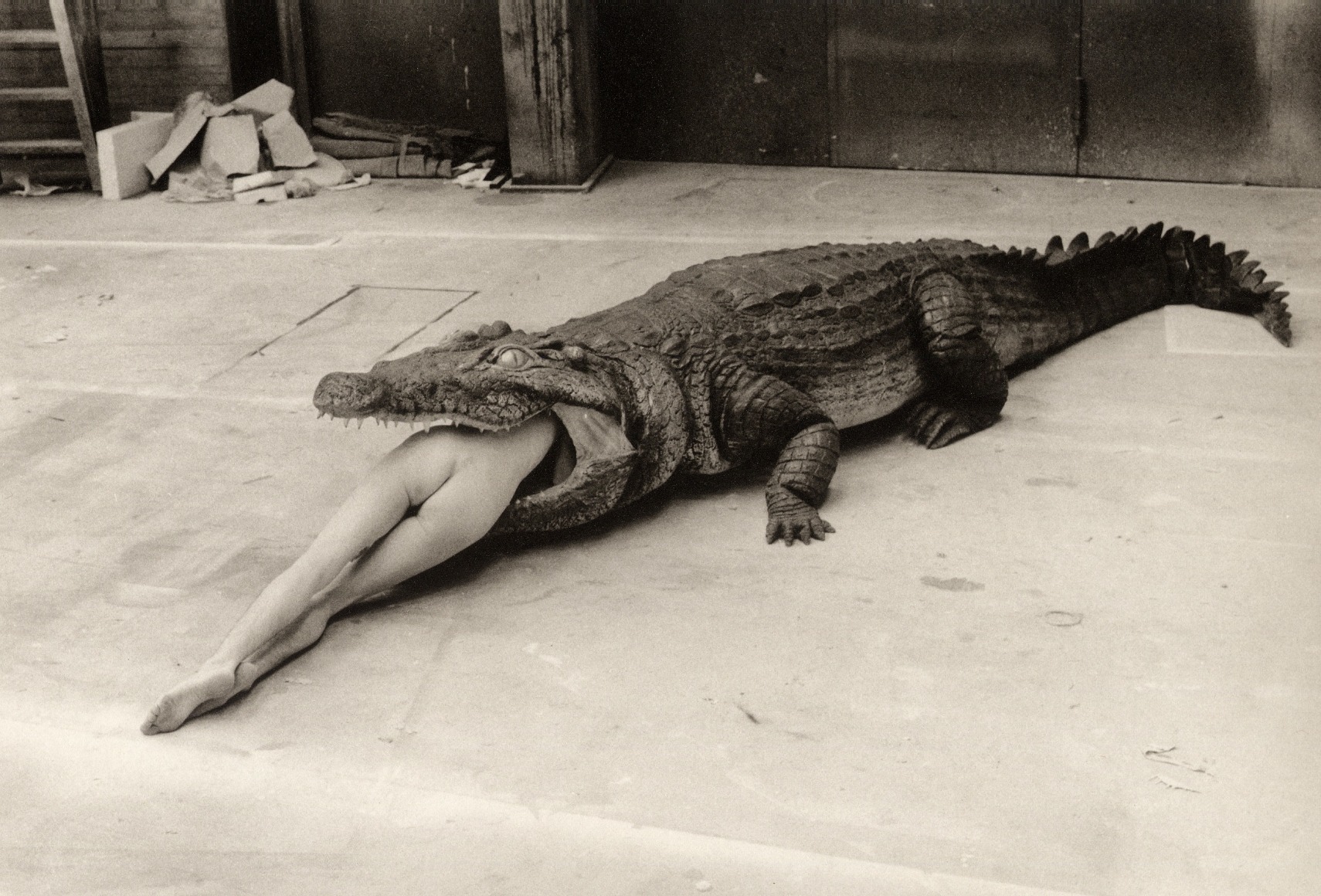 Helmut Newton - A Scene From Pina Bauschs Ballet