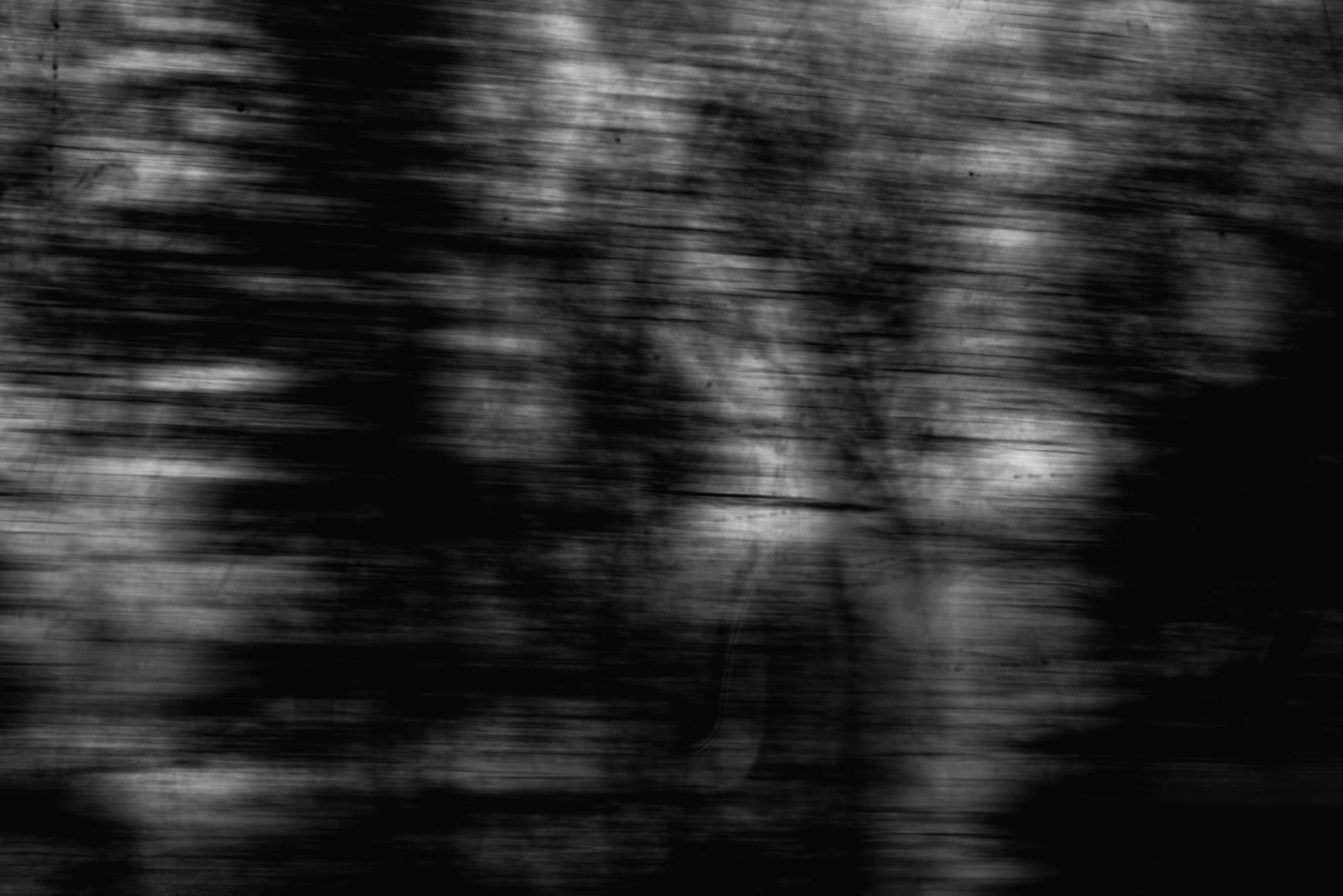 Tin Lizards, Untitled #15, 2023, Archival Pigment Print