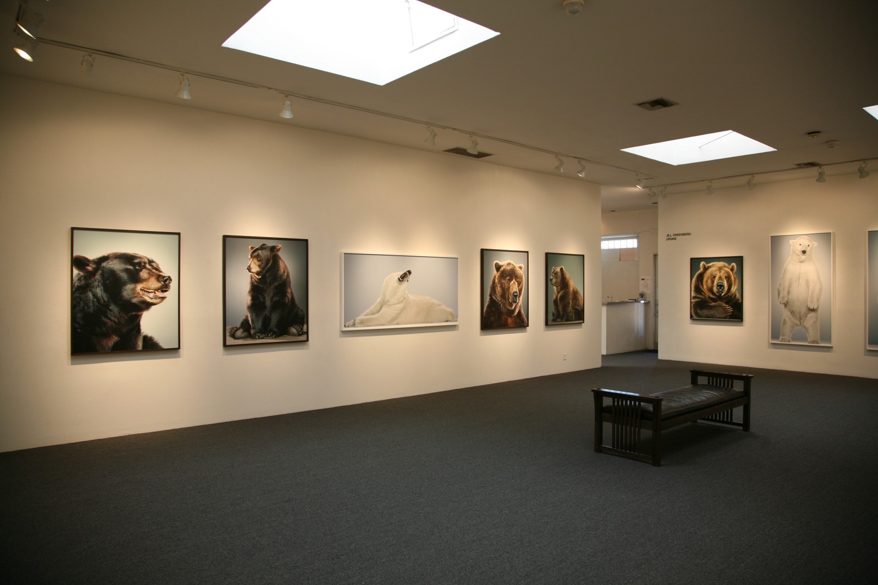 Jill Greenberg
