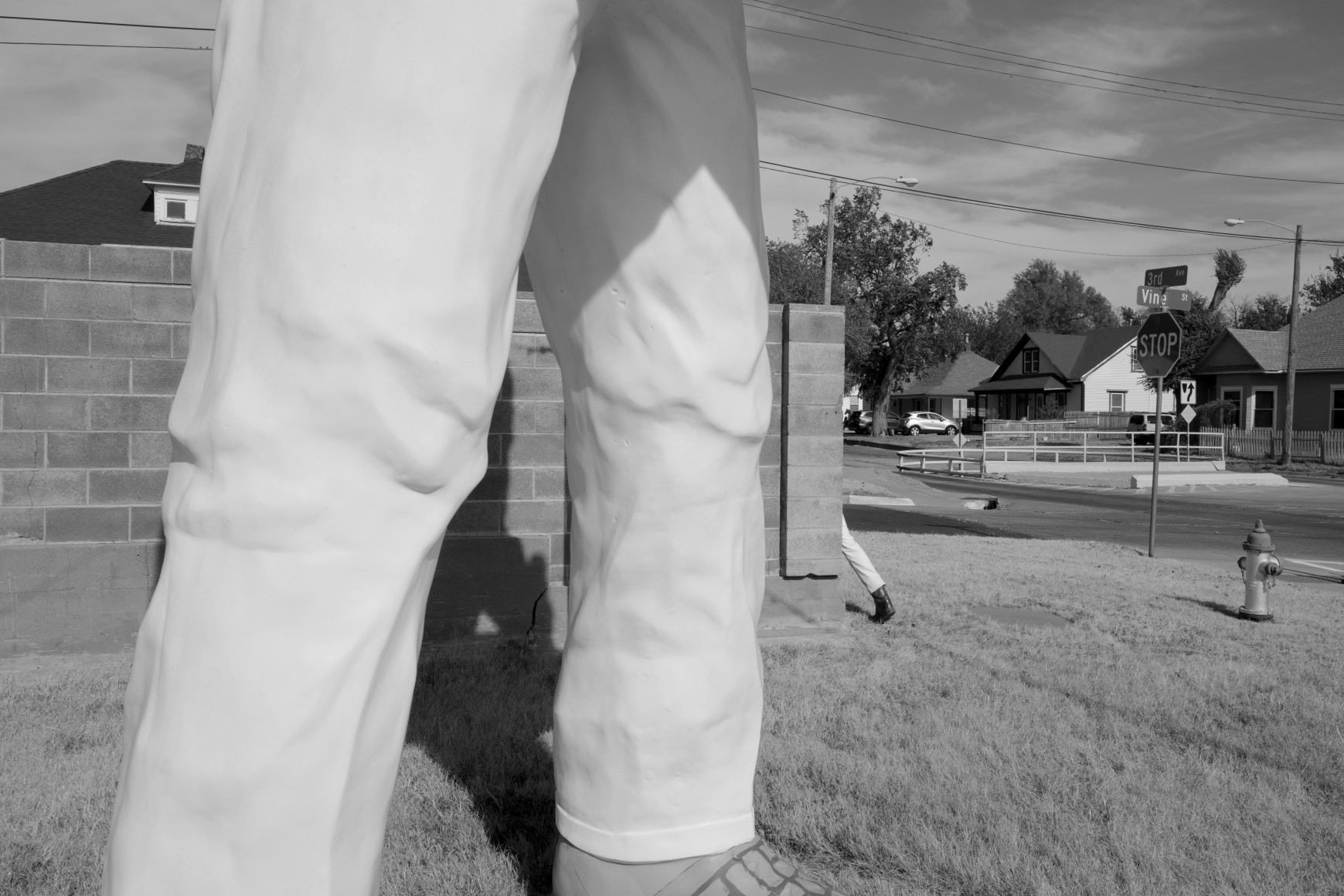 Tin Lizards, Untitled #28, 2023, Archival Pigment Print