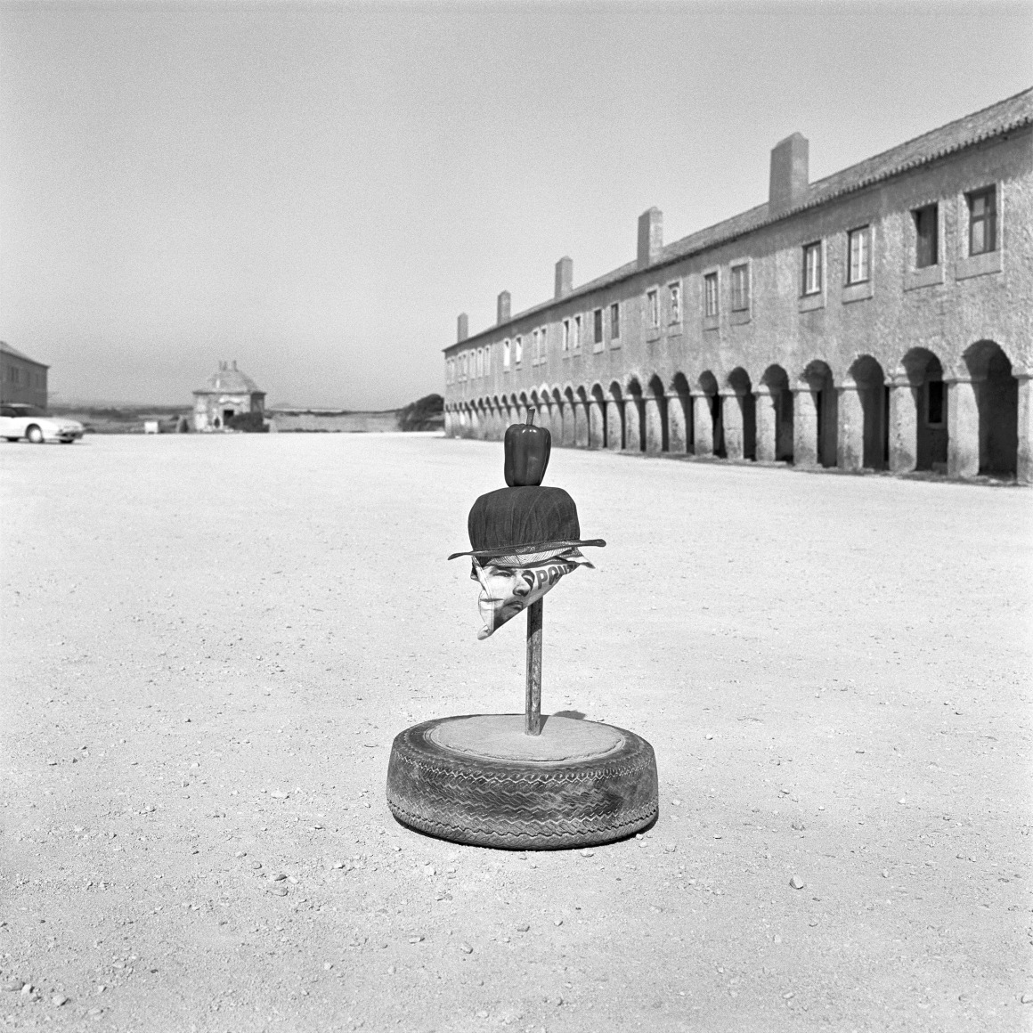 Political Pepper, 1992, Archival Pigment Print, Combined Edition of 25