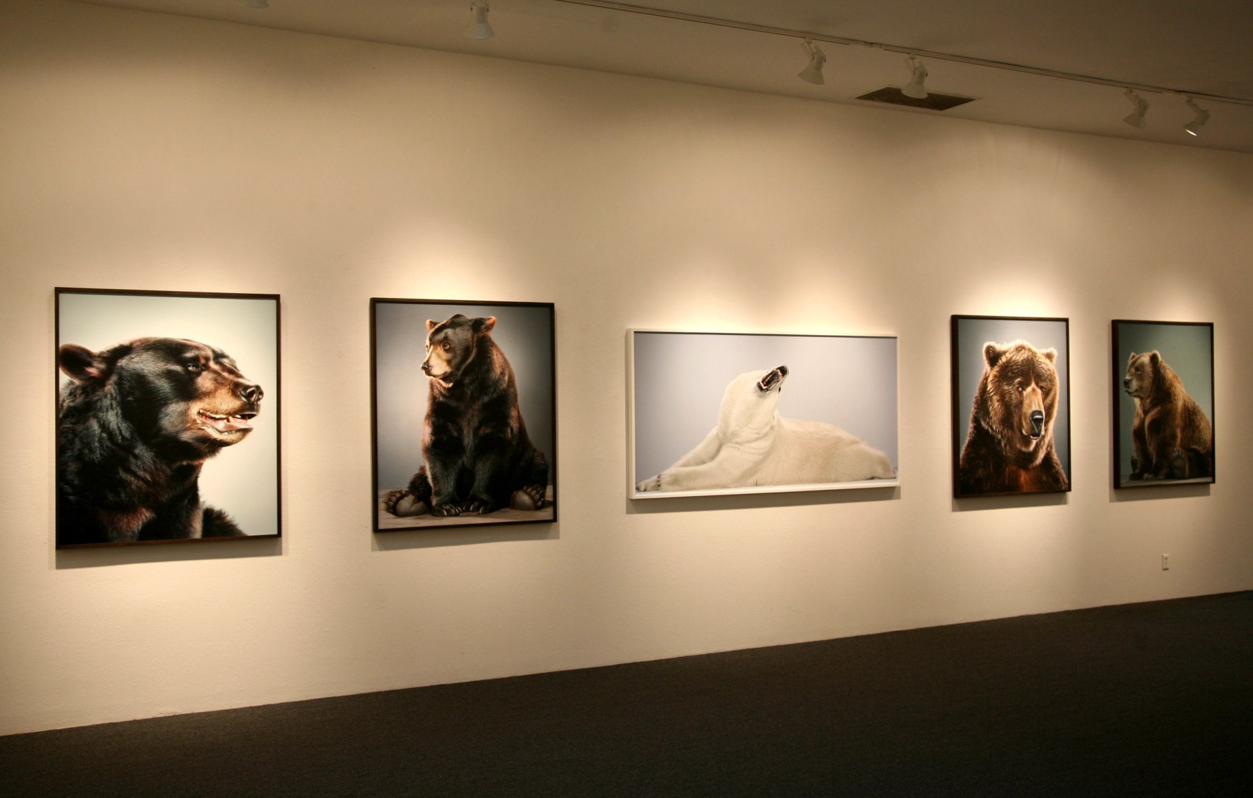 Jill Greenberg