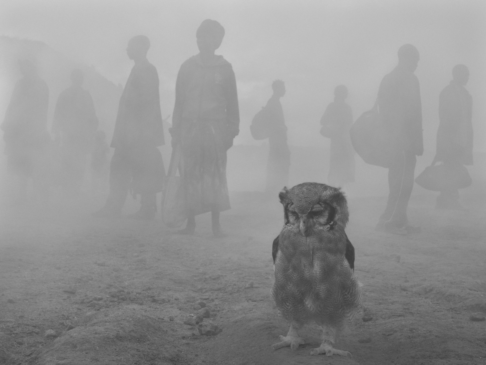 Harriet and people in fog, Zimbabwe, 2020
