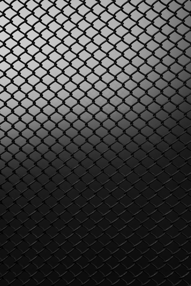 Tin Lizards, Untitled #201, 2023, Archival Pigment Print