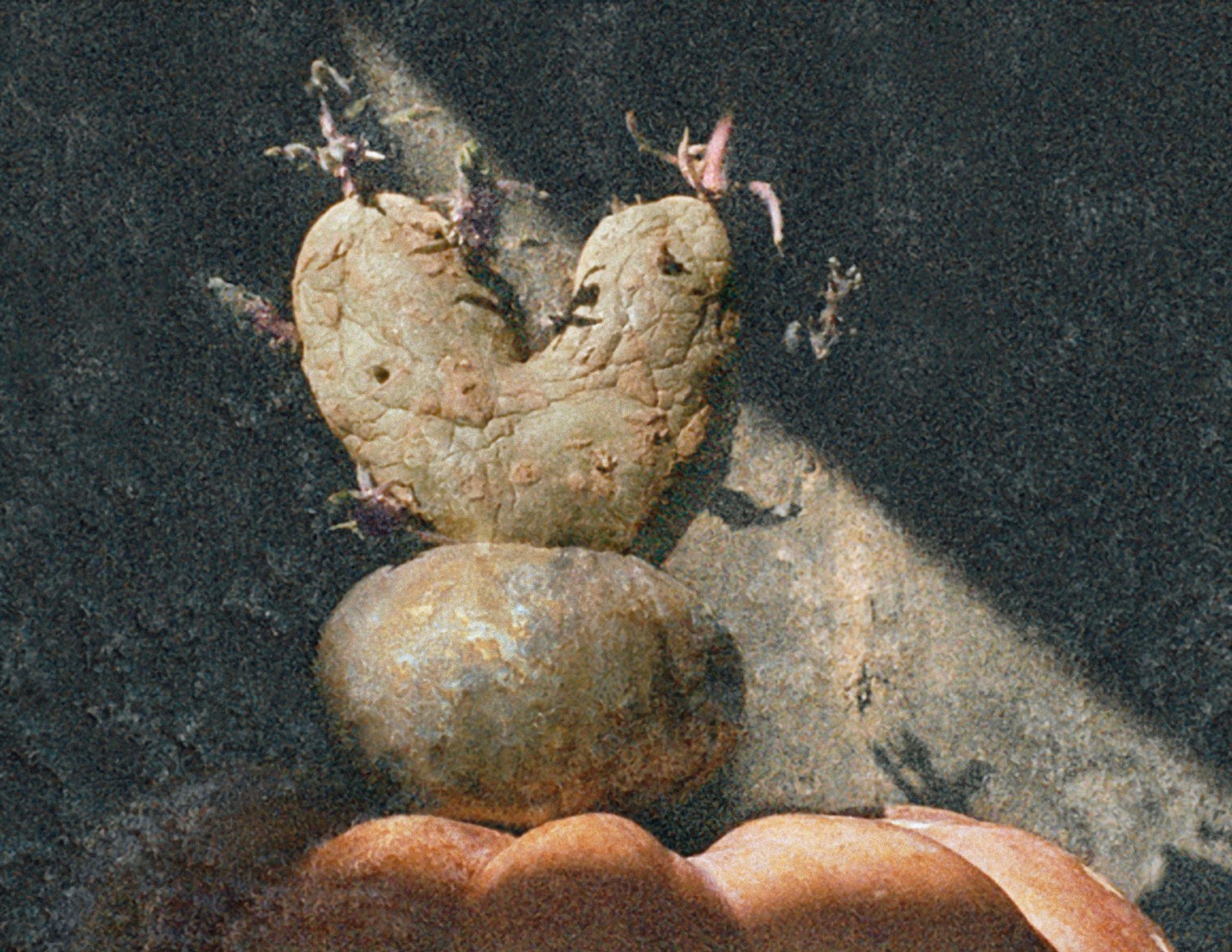 Potato Series, Heart Potato #9, 2002, C-print, Ed. of 10