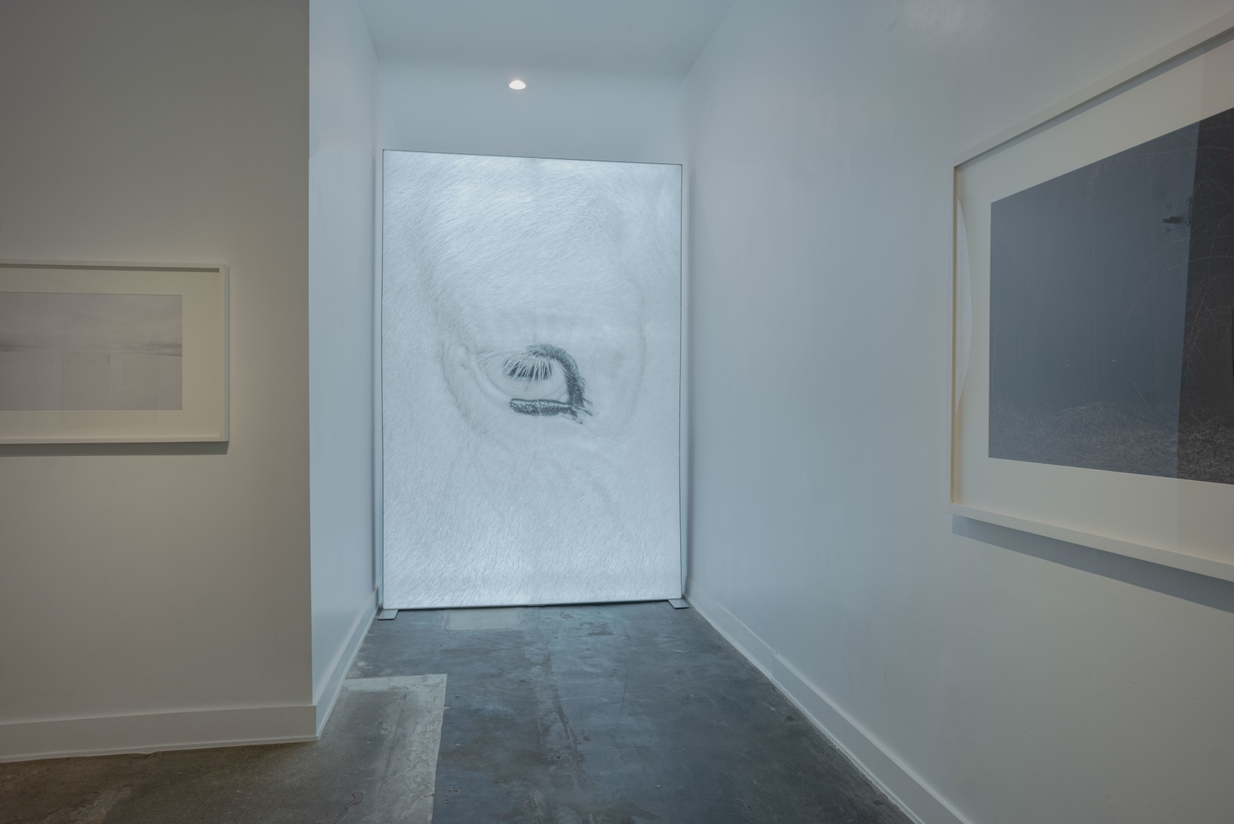 Robert LeBlanc: Tin Lizards, on display at Carhartt WIP 